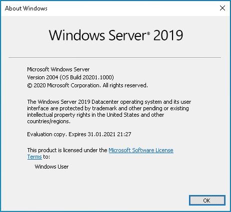 Nach dem In-Place Upgrade auf Windows Server vNext 2004 (Build 20201)